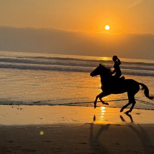 WhatsApp Image 2026-03-06 at 2.36.18 AM