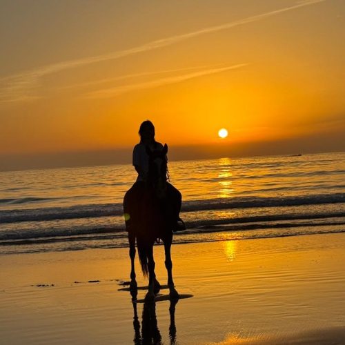 WhatsApp Image 2026-03-06 at 2.36.21 AM (1)