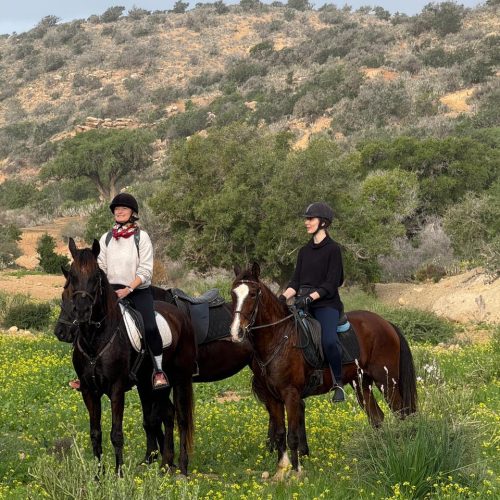 daWhatsApp Image 2026-02-11 at 12.56.19 PM